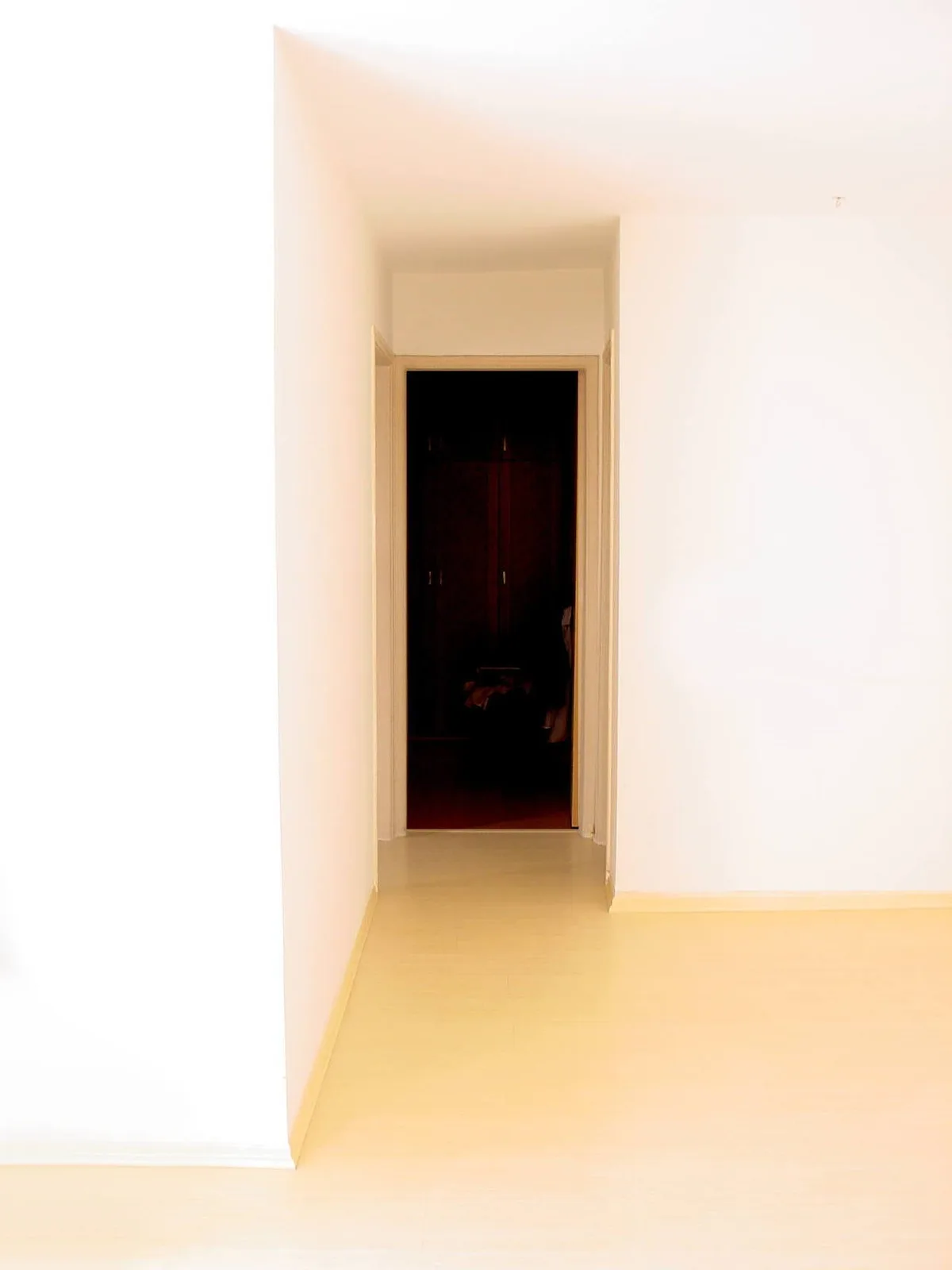 Citações e Provérbios Judaicos (35)